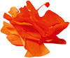 Rotes Origami Papier - Blume