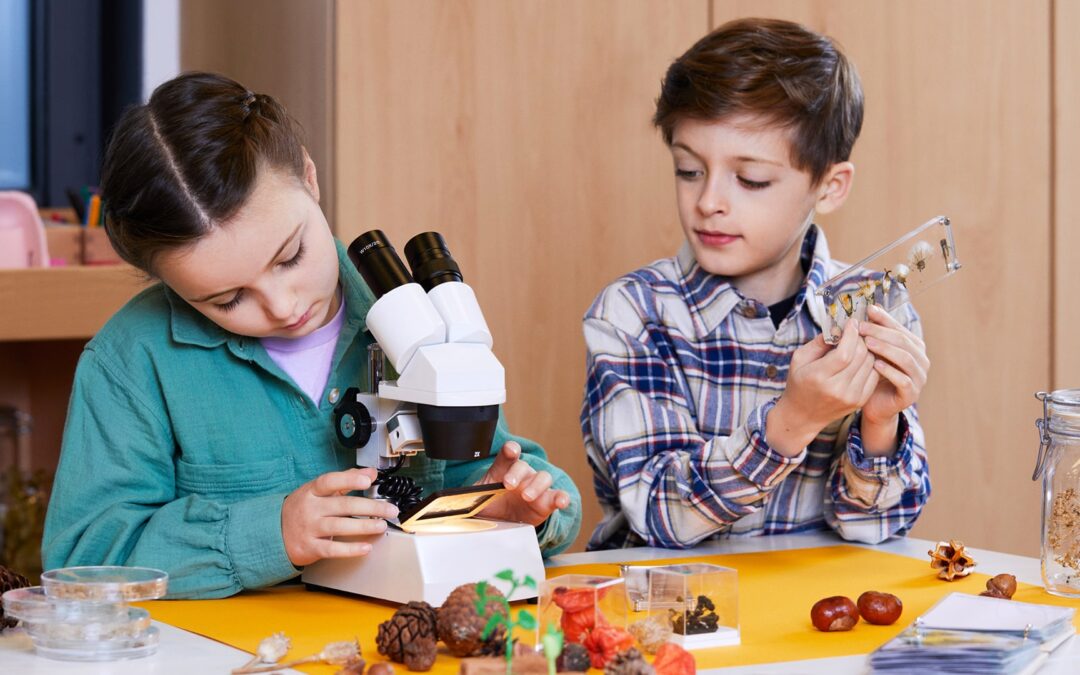 experiCamp Kids: Du und deine Experimente!