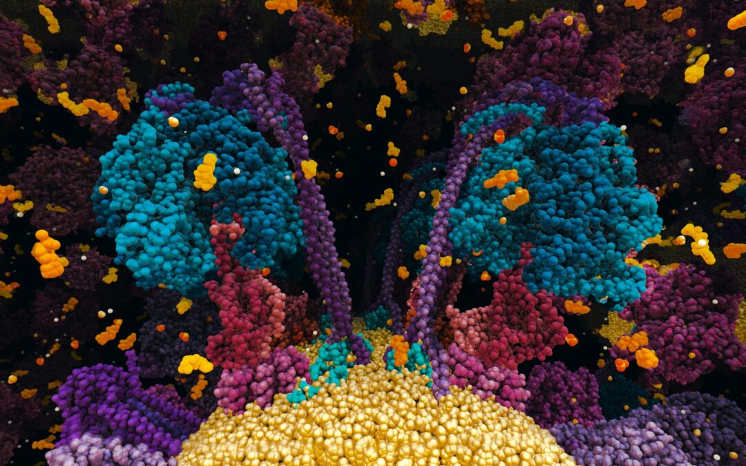 Die Chemie des Lebens – 3D – das Unsichtbare in uns