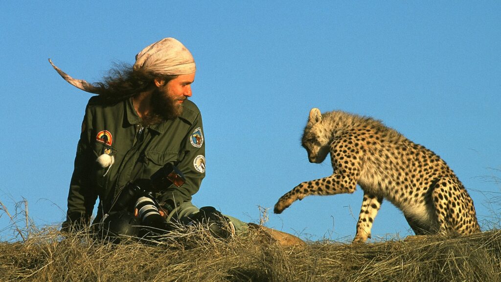 Matto H. Barfuss mit einem wildlebenden Geparden in der Serengeti